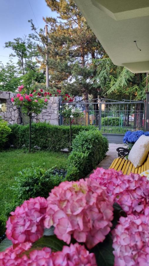 Apartman L&M Cetinje Bagian luar foto